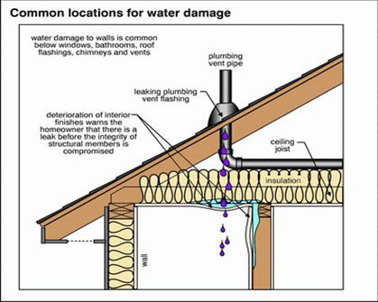 common locations of water damage on a roof